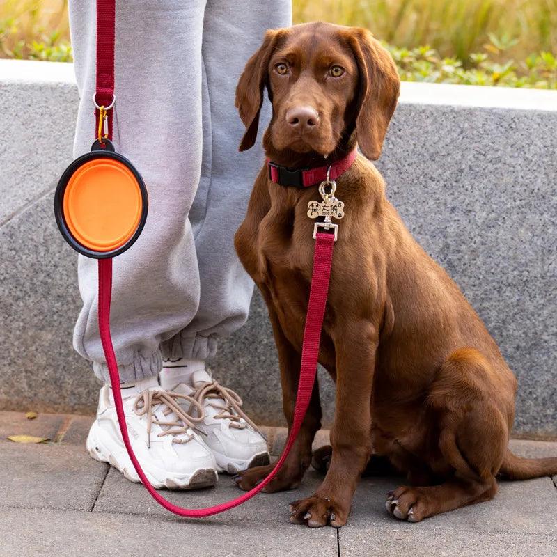 Cuenco para mascotas Tigela dobrável 